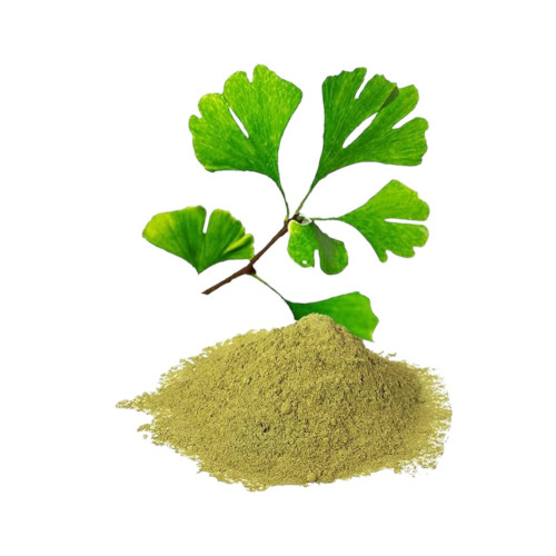 Екстракт Гінкго Білоба 24%, 6%