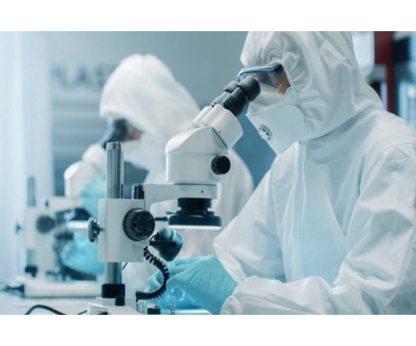 КОРИСТЬ ПИПЕРИНУ ДОВЕДЕНА ДОСЛІДЖЕННЯМИ!  