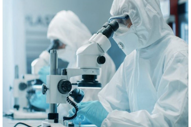 КОРИСТЬ ПИПЕРИНУ ДОВЕДЕНА ДОСЛІДЖЕННЯМИ!  