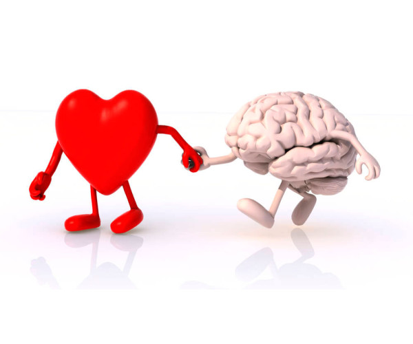 ЯКИМ ЧИНОМ ОМЕГА ПІДТРИМУЄ ЗДОРОВ'Я МОЗКУ У ДІТЕЙ?