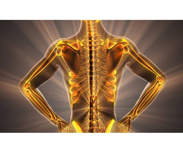 ЯК ЗБЕРЕГТИ МІЦНІ КІСТКИ ДО ГЛИБОКОЇ СТАРОСТІ