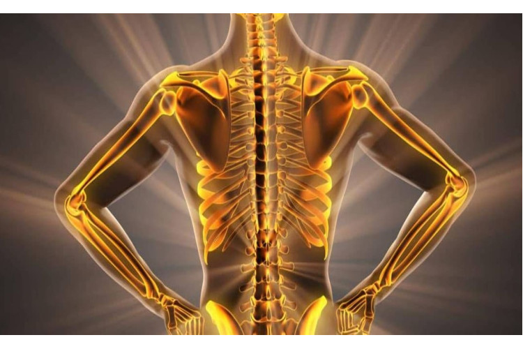 ЯК ЗБЕРЕГТИ МІЦНІ КІСТКИ ДО ГЛИБОКОЇ СТАРОСТІ