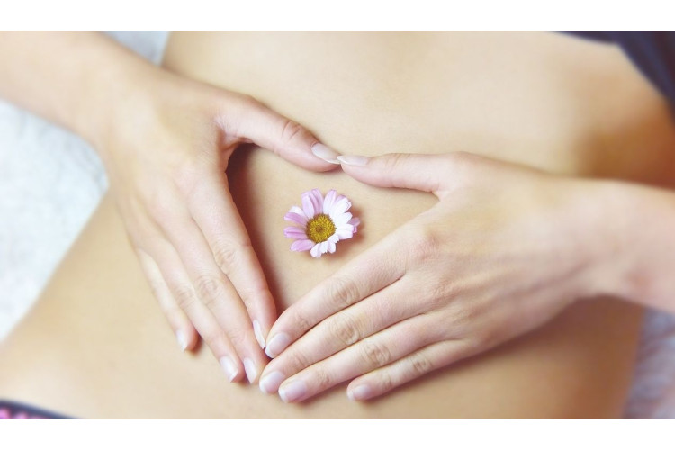 РЕАБІЛІТАЦІЯ ХВОРИХ НА ХРОНІЧНІ ІНФЕКЦІЇ СЕЧОВИВІДНИХ ШЛЯХІВ НА АМБУЛАТОРНОМУ ЕТАПІ