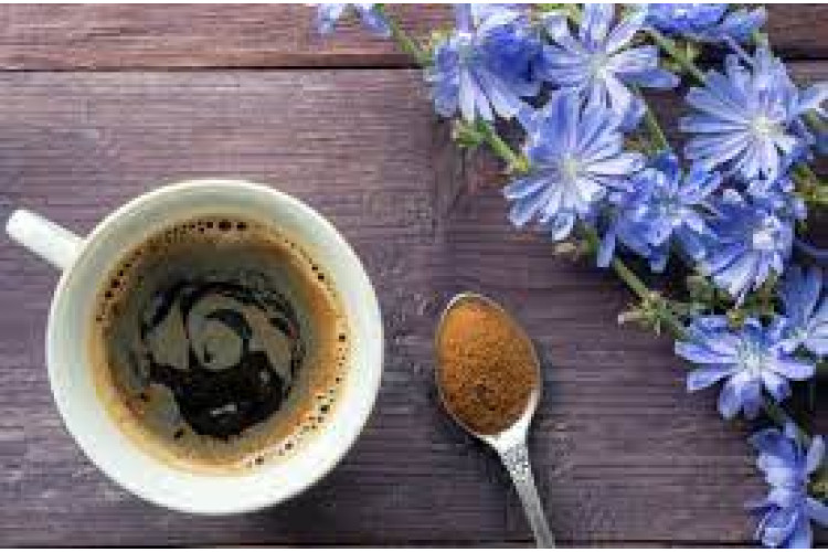 ЧИМ КОРИСНИЙ ЦИКОРІЙ?